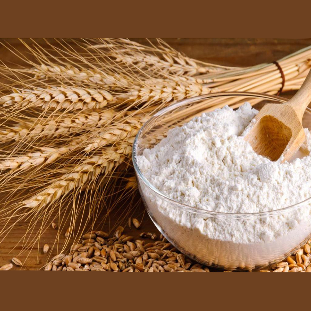 جوانه گندم برای چاقی